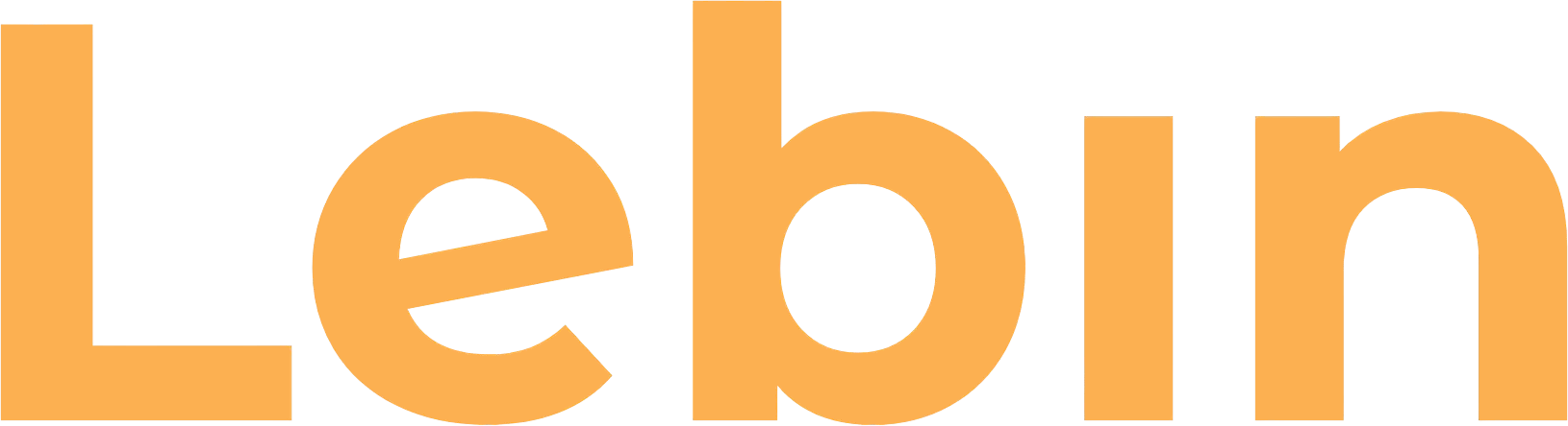 Logo de Lebin Comunicación - Agencia de Marketing Digital en Santa Rosa